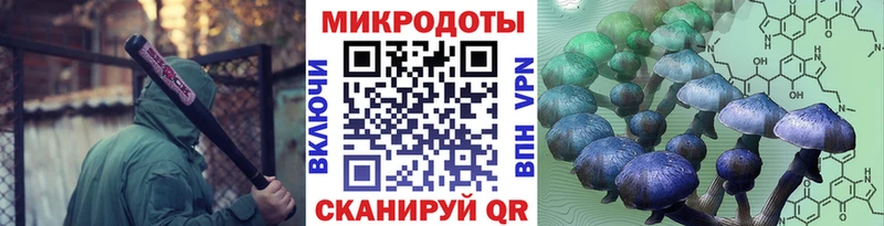 Псилоцибиновые грибы MAGIC MUSHROOMS Тутаев