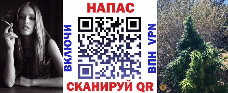 Бошки Шишки Amnesia  Тутаев 